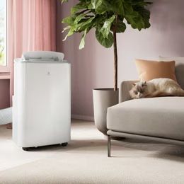 Electrolux Klimageräte: Electrolux Klimaanlage EXP34U339CW Neu mit Garantie – Neu und originalverpackt aus Konolfingen von likeacat 4