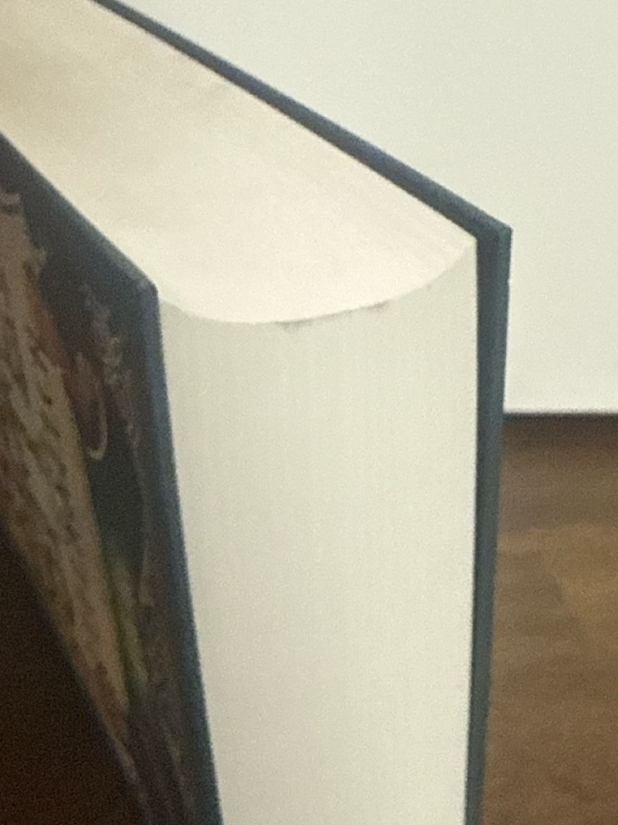 Libri: Buch Harry Potter und der Feuerkelch – Nuovo (secondo la descrizione) da Fahrweid venduto da natagio 2