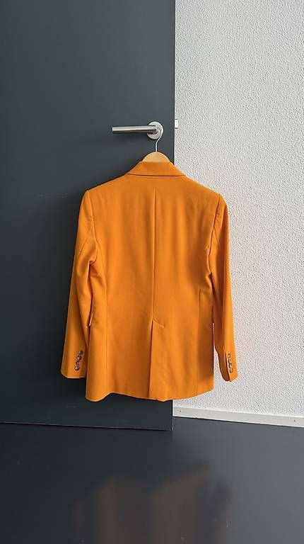 Giacche: ZARA Blazer, senfgelb (Grösse S) – Usato da Schlieren venduto da _lgv 1