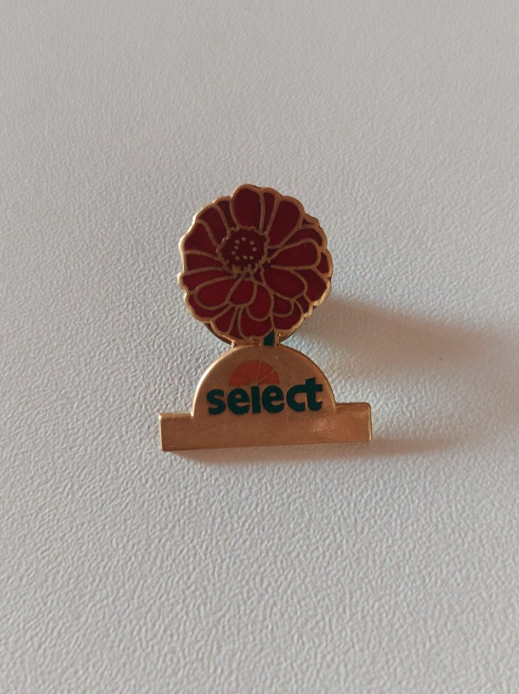 Placchette & Badge: Select Pin – Usato da Erlinsbach venduto da pfunky