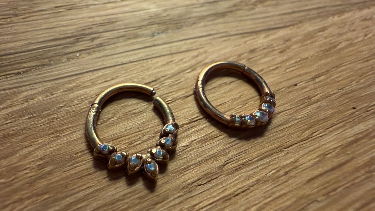 Gioielli per piercing: 7 Clicker Segment Rings - Septum Ear – Usato da Gebenstorf venduto da D0minika 2