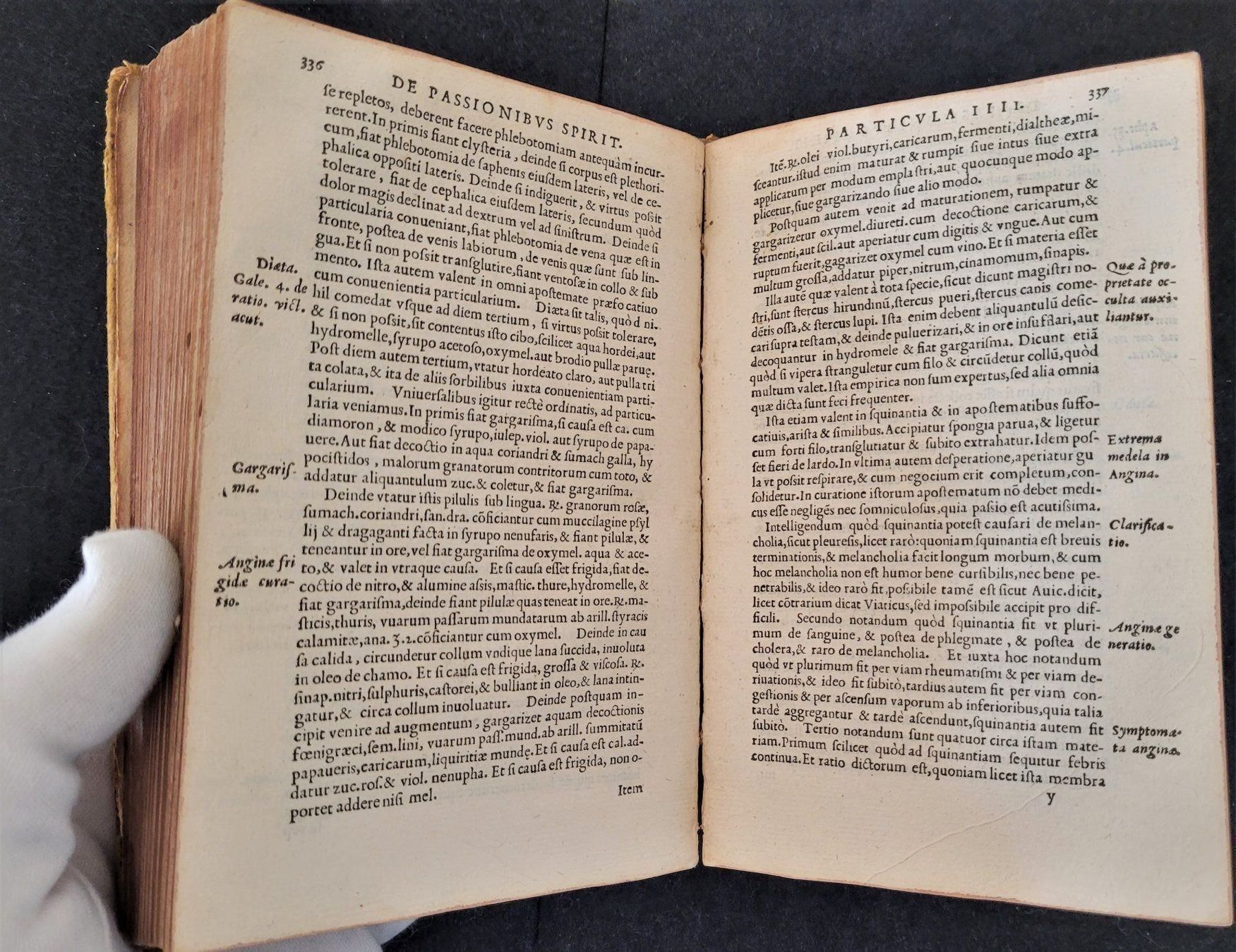 Bücher: Opus lilium medicinae, Lyon 1550 – Gebraucht aus Bourguillon von Lucas111 2