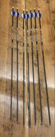 Easton Carbon Pfeile