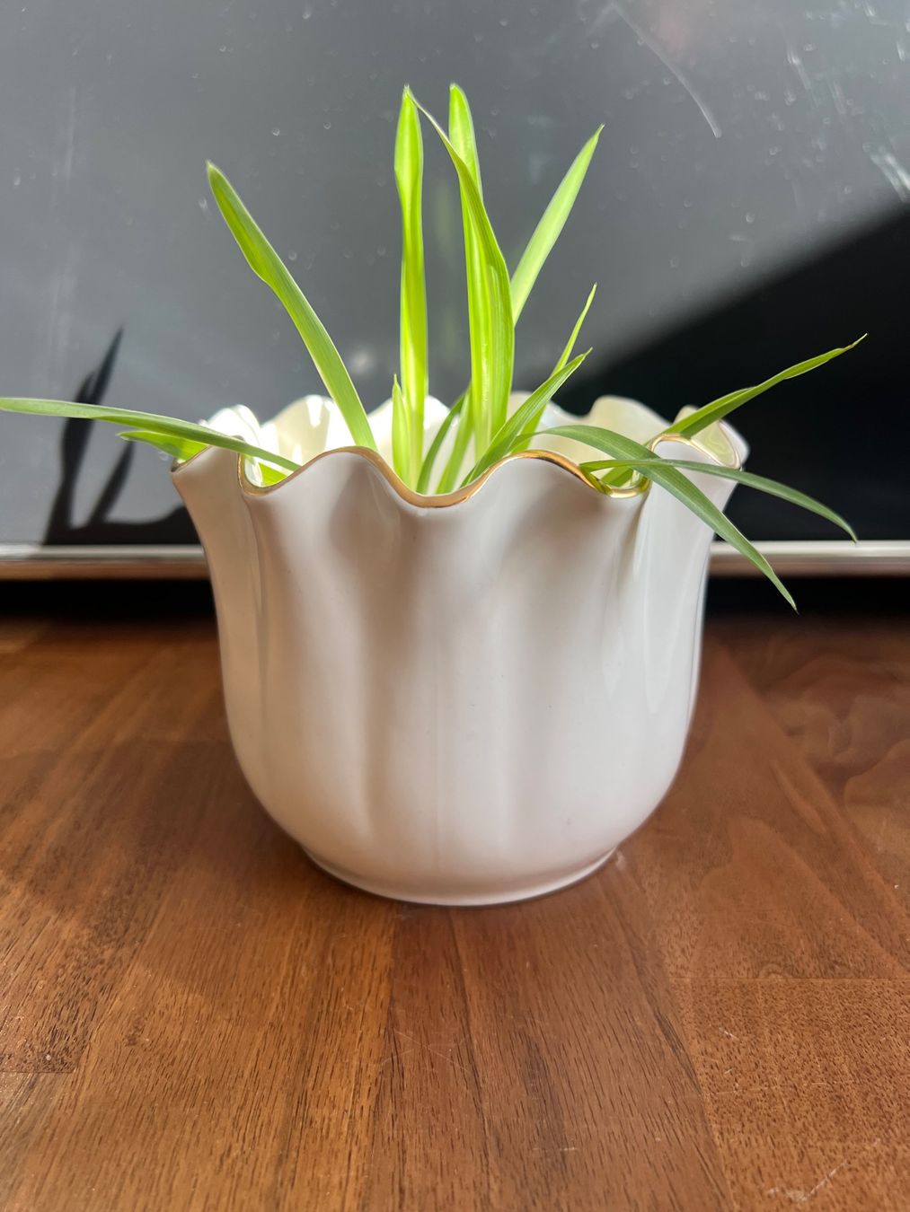 Vasi per fiori: Blumentopf Weiss mit Goldrand Vintage – Usato da Jona venduto da Sariksa 4
