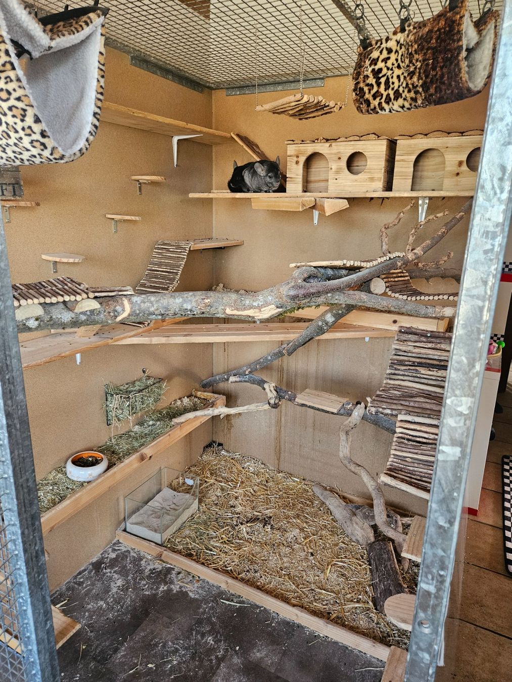 Cages, transport & sécurité: Chinchilla Käfig – D'occasion à Moosleerau par mar_lr8m 2