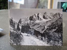 Schuders Schiers Drusenfluh 1970 Postkarte   1