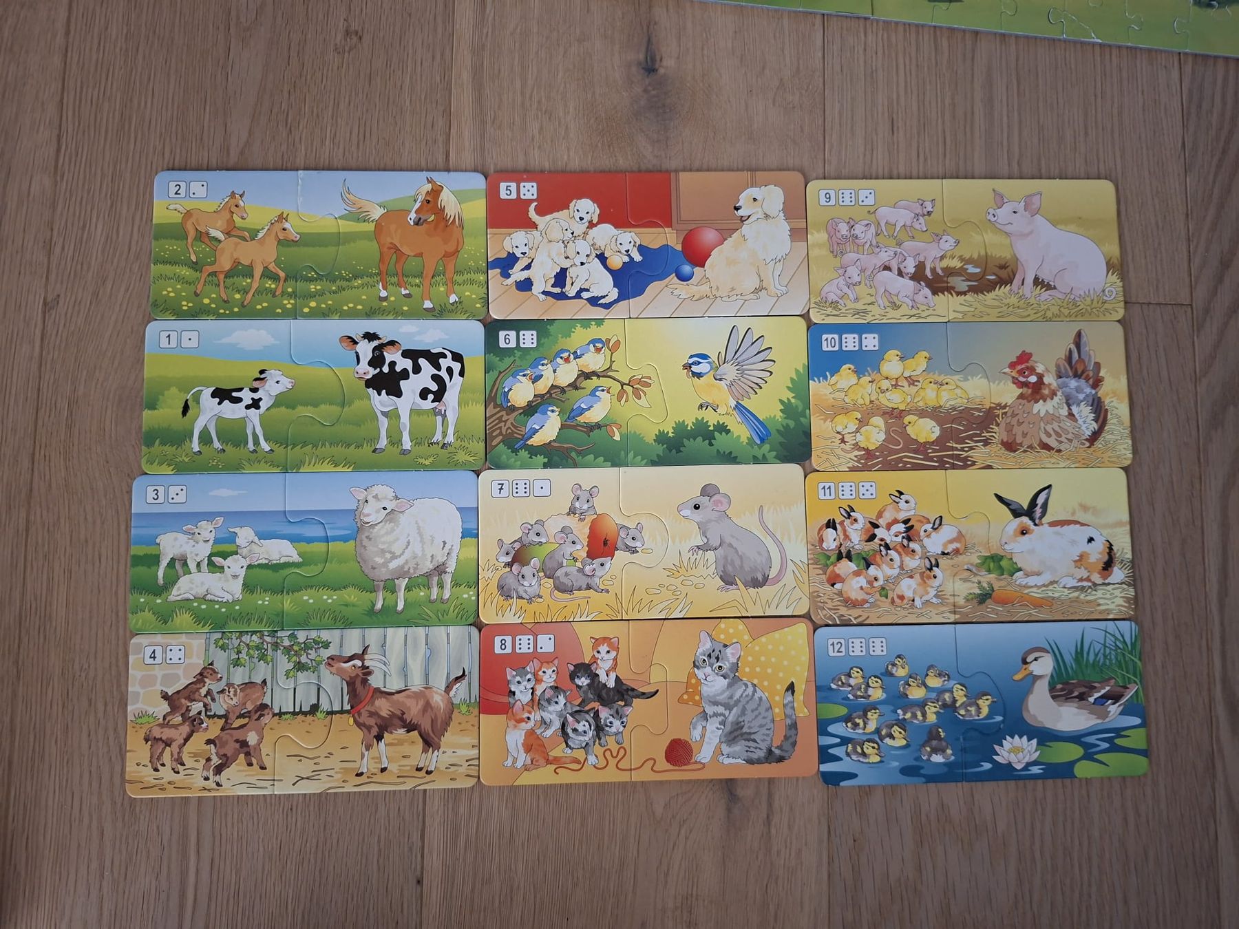 Giochi: Lernspiel Erstes Zählen – Usato da Arch venduto da rukus01 5