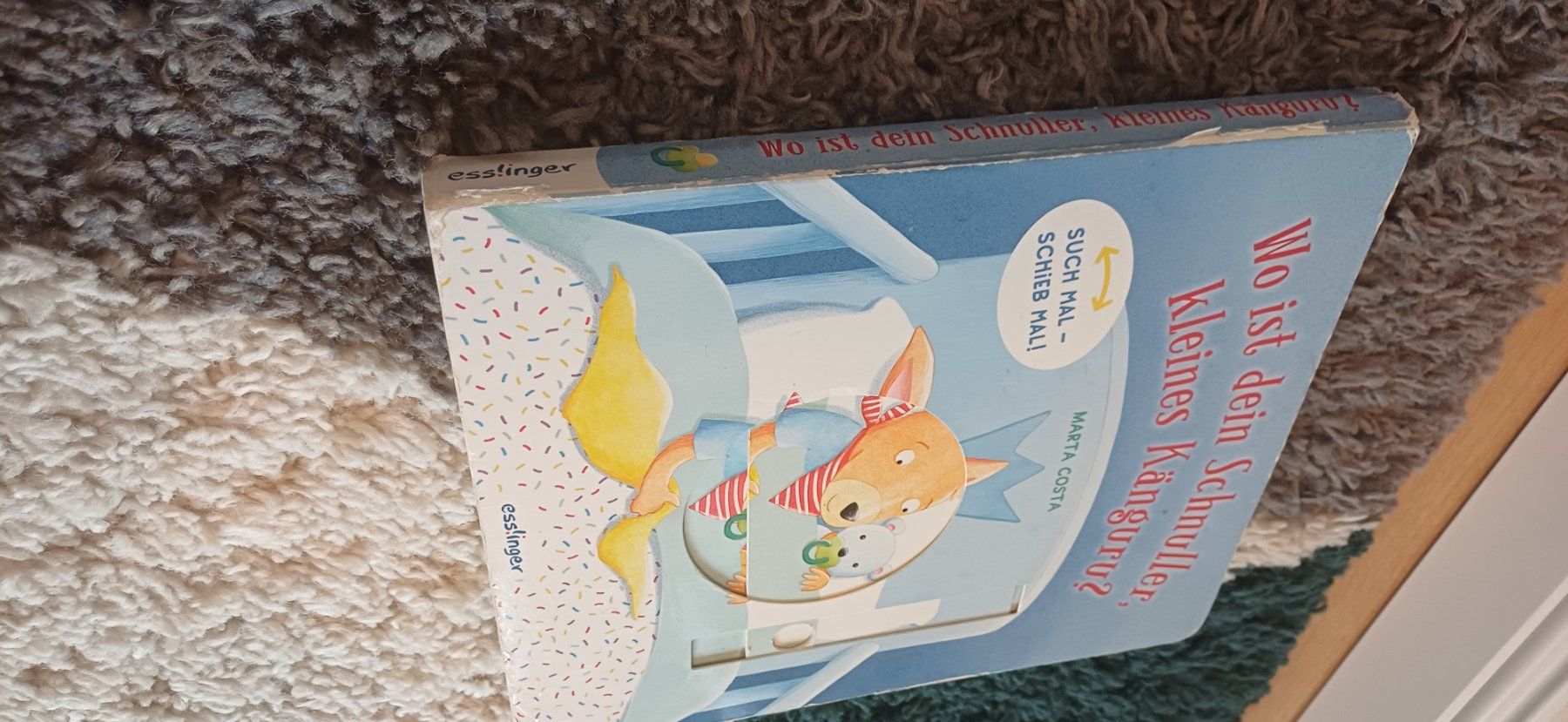 Bücher: 6x bucher – Gebraucht aus Riniken von Lessy- 3