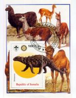 Block "Lamas & Kamele". Somalia.