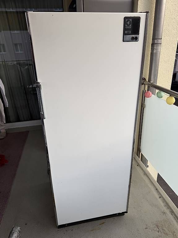 Congelatori: Electrolux Tiefkühler  – Usato da Emmenbrücke venduto da aid_h2cd 1
