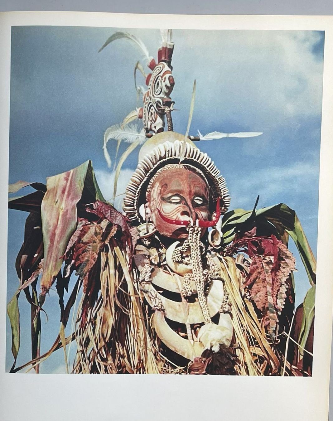 Libri: René Gardi: Bilder aus Neuguinea – Usato da Dielsdorf venduto da bonambler 4