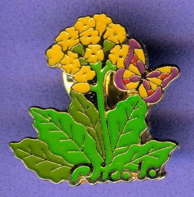 Placchette & Badge: Ricola   Primula – Usato da Winterthur venduto da Sammleroase