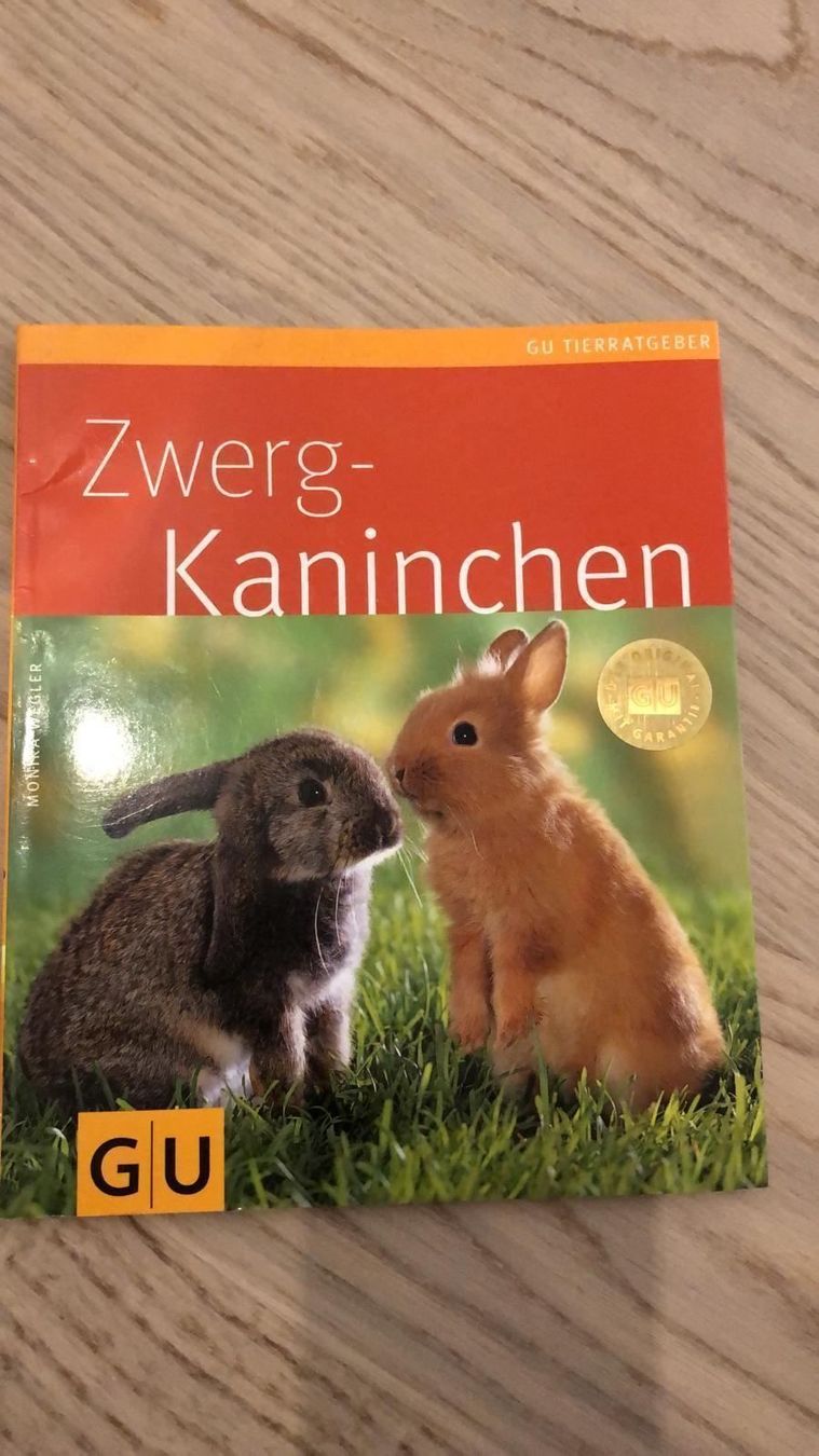 Libri: 3 Kaninchenratgeber – Nuovo (secondo la descrizione) da Hinteregg venduto da Carimba90 1