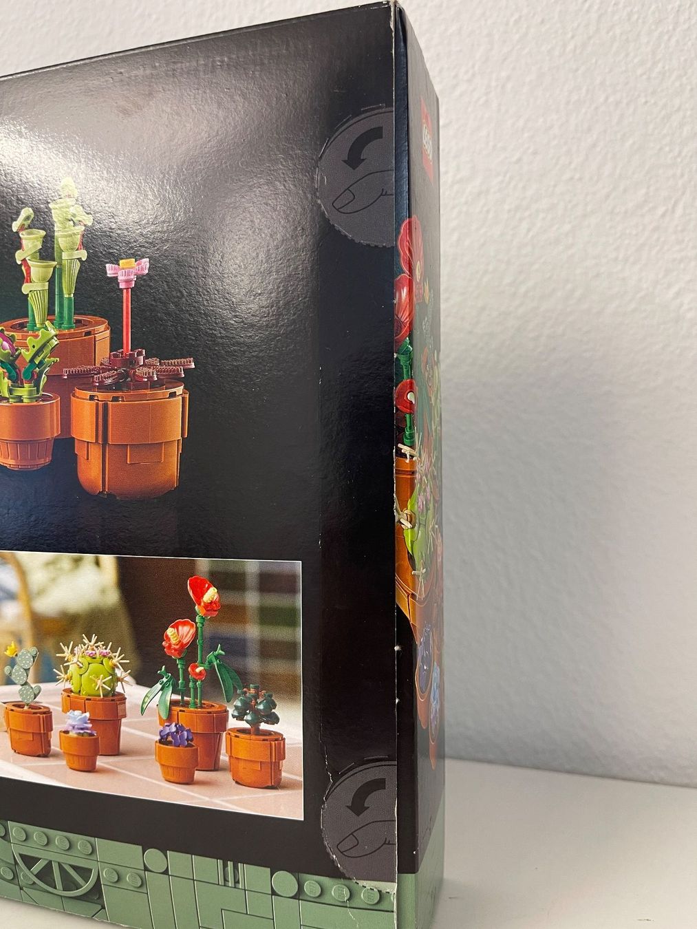 Lego Kit di costruzioni: LEGO Botanical Collection Tiny Plants #10329  OVP! – Nuovo e nell'imballaggio originale da Zürich venduto da Arche_Brockenhaus 4