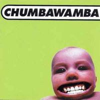 Chumbawamba ‎– Tubthumper