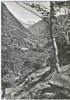 Linescio (Valle Maggia) veduta del paese da lontano 1952