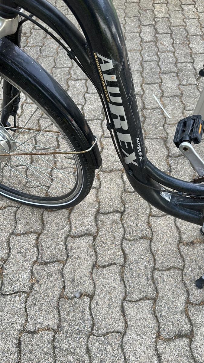 Biciclette: Alurex E-Bike  – Usato da Bottighofen venduto da klurmani 4