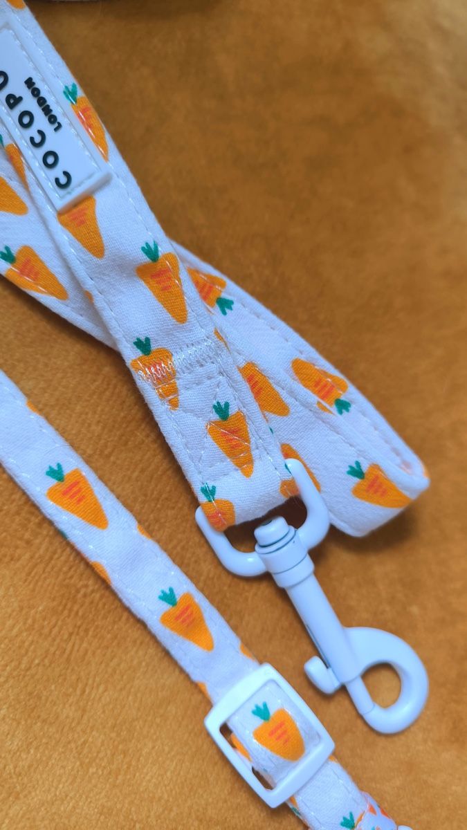 Leine & Halsband: Hundeleine – Neu (gemäss Beschreibung) aus Seuzach von laj_p6gj 3