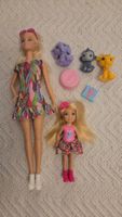 Barbies und Zubehör