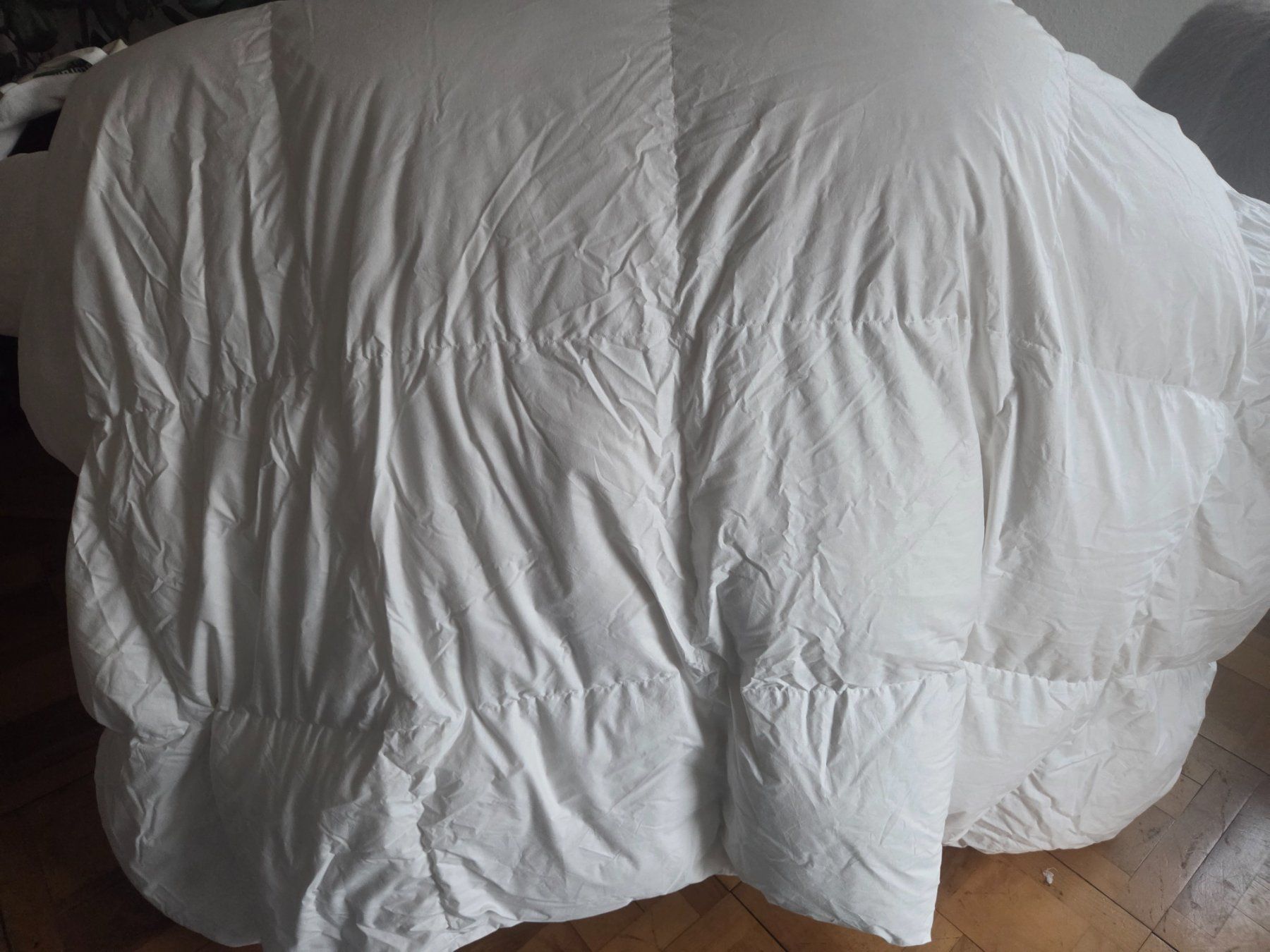 Coperte: Daunenbettdecke 155x220cm – Usato da Küssnacht am Rigi venduto da Car_lmk6