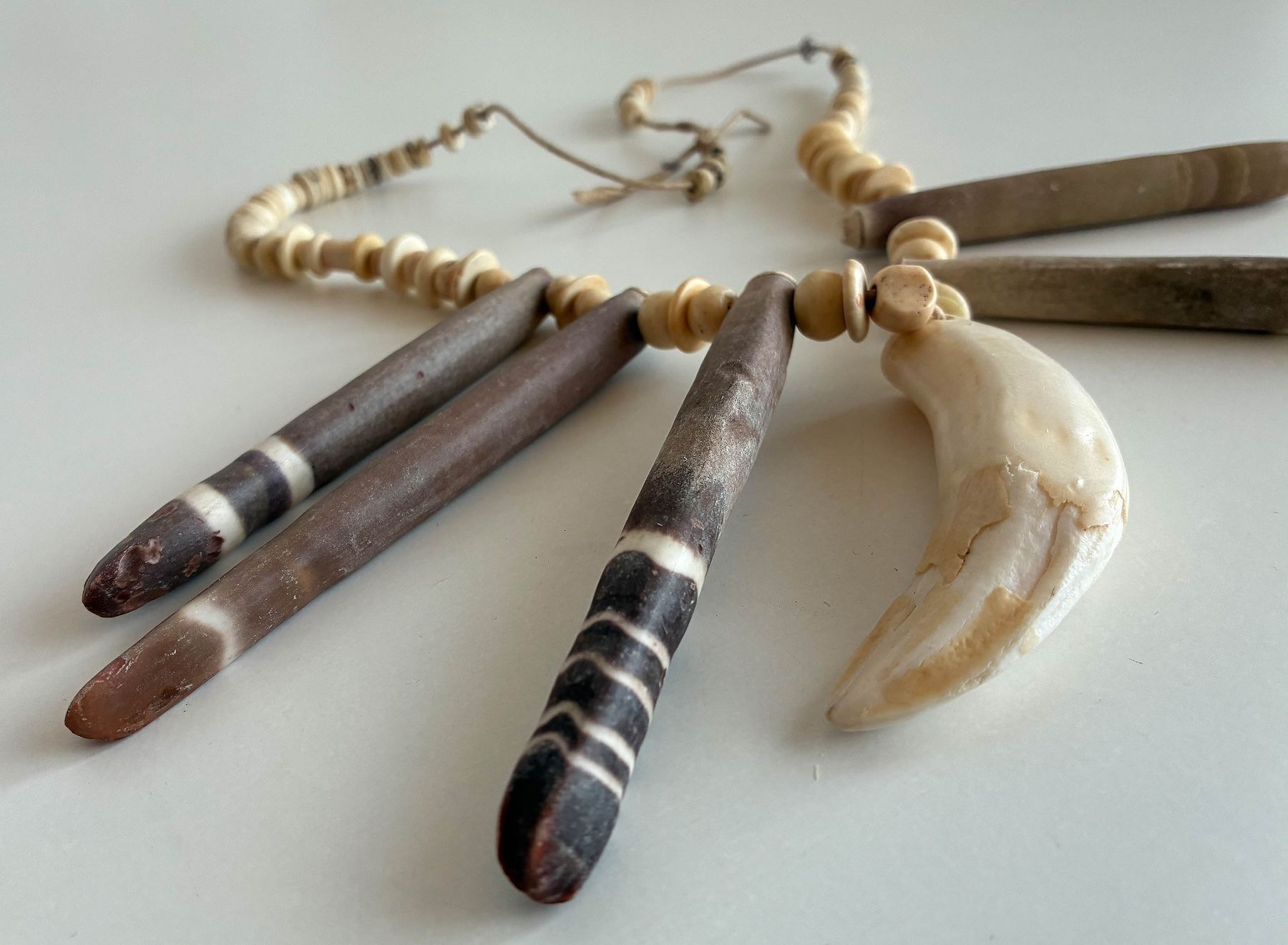 Catenine: Knochen Kette mit echtem Zahn – Usato da Bäretswil venduto da robsonantik 2