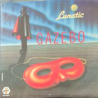 Vinyl-Single Gazebo - Lunatic