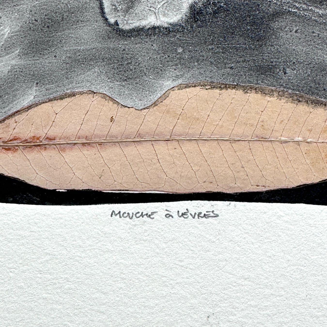 Tableaux: Composition abstraite "Mouche à lèvres" signée BASSEM 1994 – D'occasion à Morges par vintiques 6