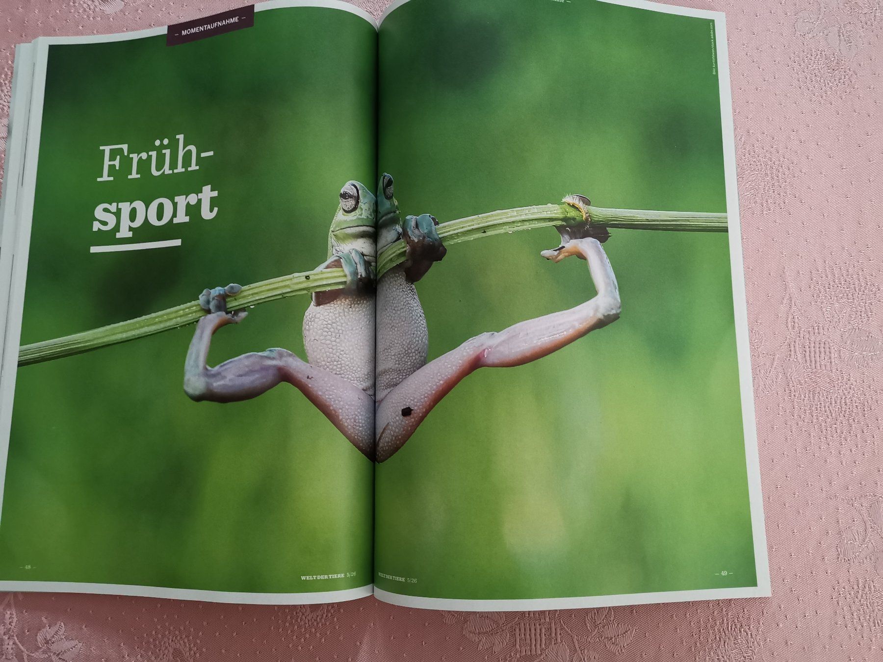 Revues & Magazines: Welt der Tiere – Neuf (Voir description) à Dornach par Hei50 4