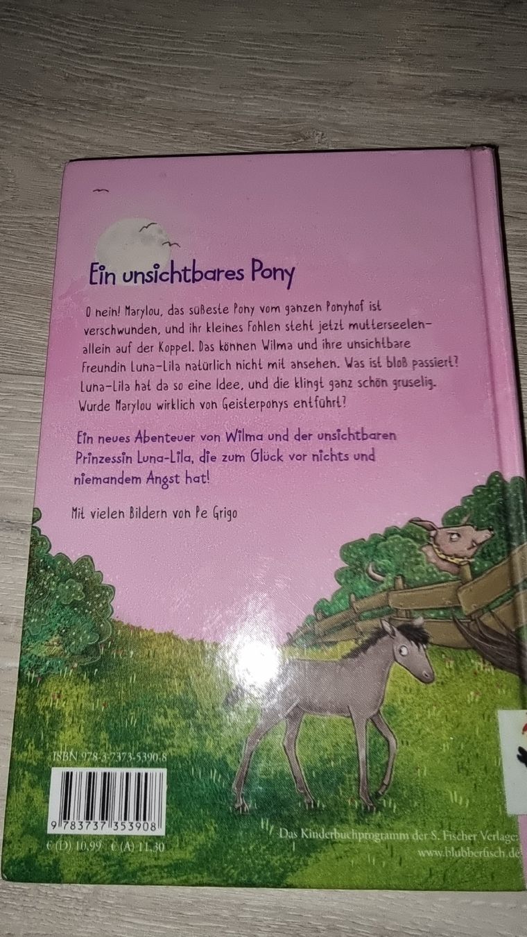 Libri: Luna-Lila - Der allergeheimste Pony-Plan – Usato da Wigoltingen venduto da Zuckerfee84 1