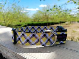 Hundehalsband 2.5cm "Sunny" handgemacht