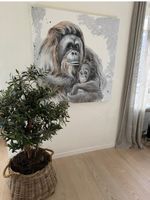 Unikat  Orang Utan
