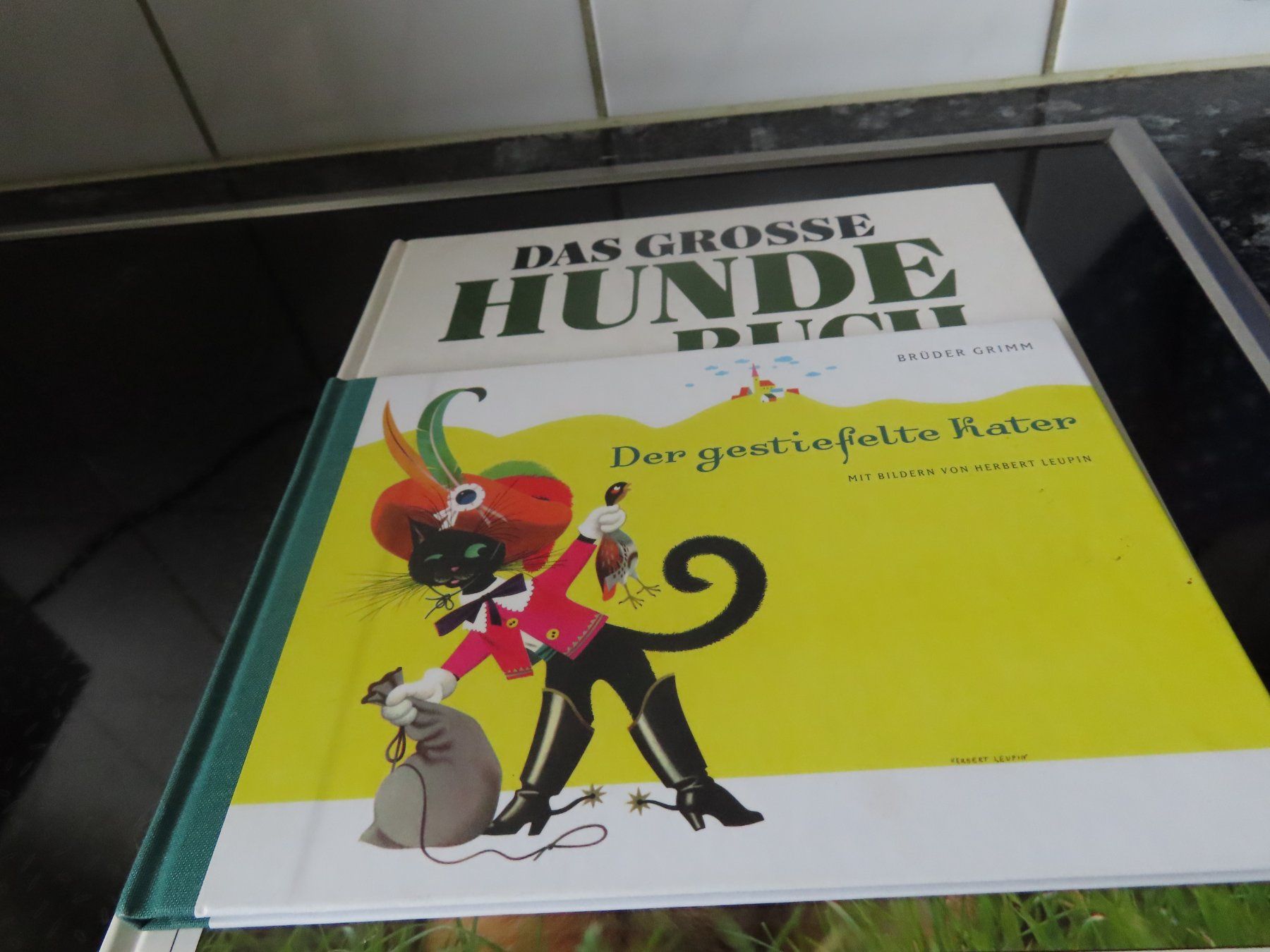 Libri: Hunde Buch – Usato da Rüfenacht BE venduto da tial70 1