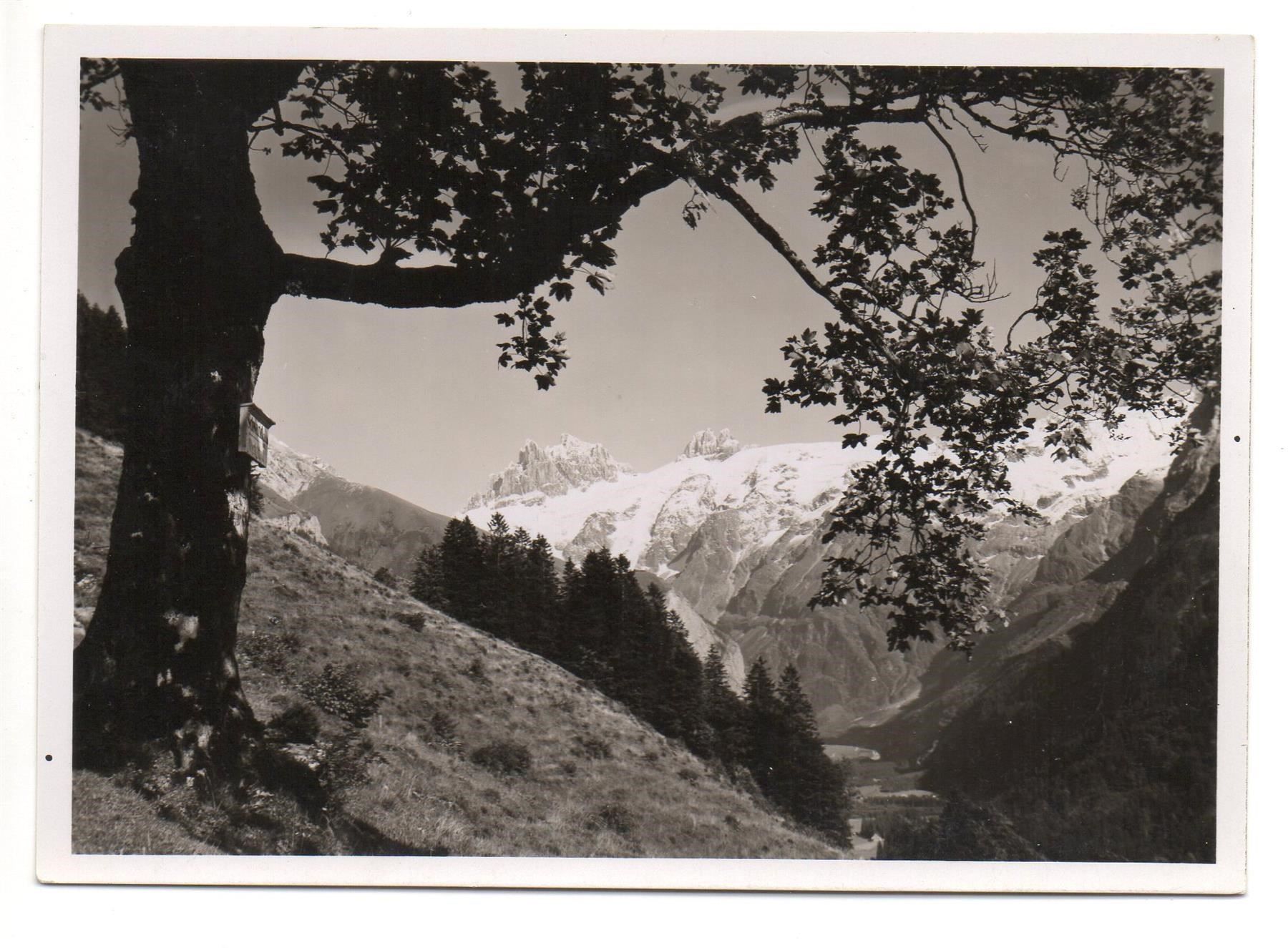 Ansichtskarten: ENGELBERG Am Weg nach Schwand – Neu (gemäss Beschreibung) aus Jona von philajona