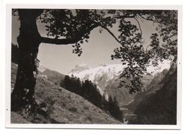 ENGELBERG Am Weg nach Schwand