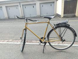Velo