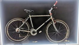Vintage Mountainbike für Liebhaber von Design und Technik