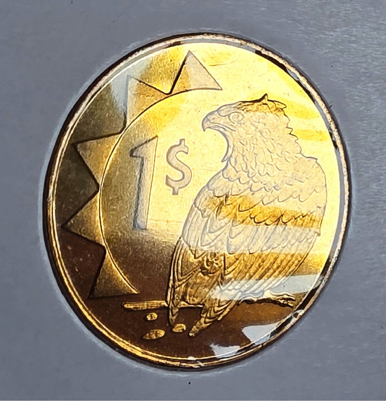 Alle Münzen: NAMIBIA 1 DOLLAR 1993 UNZ. – Gebraucht aus Winterthur von Creso70 1