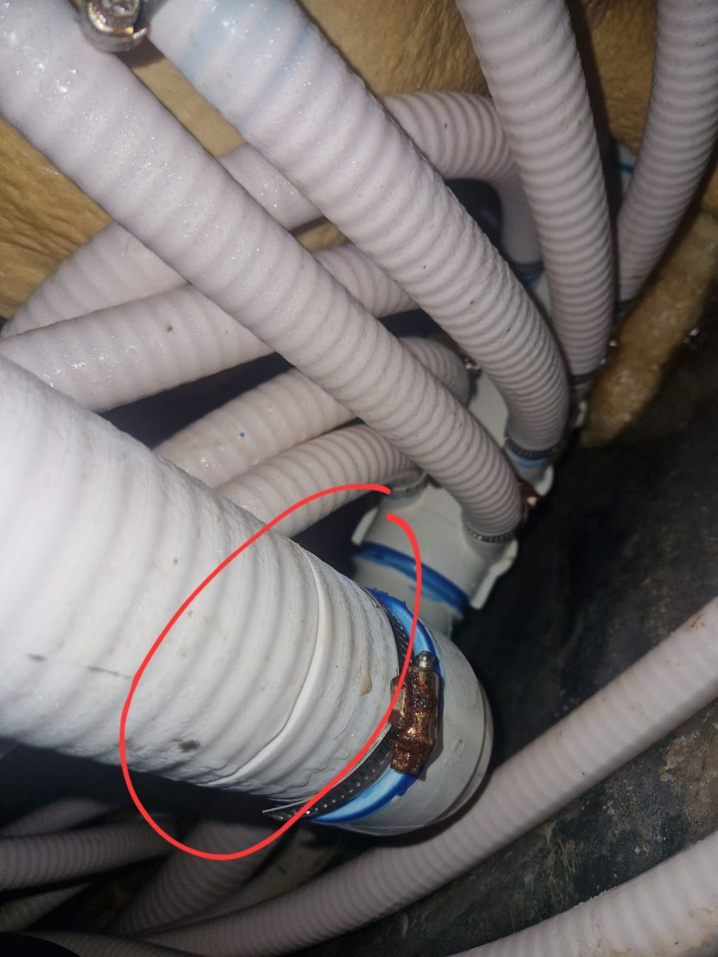 Whirlpool: Whirlpool Balboa Typ San Diego – Difettoso da Lütisburg-Station venduto da Egli-Landmaschinen 3