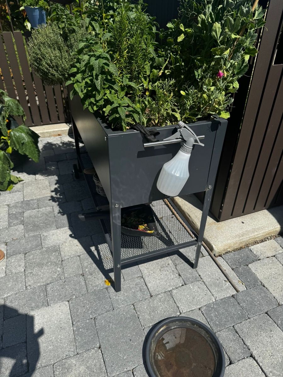 Blumentöpfe: Hochbeet mit Rädern – Gebraucht aus Egg b. Zürich von Brocki_Insel_Egg 1