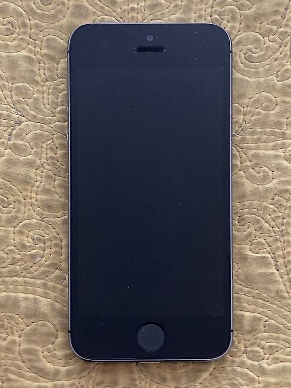 Telefoni cellulari / Smartphones: iPhone 5s 16 GB – Usato da Basel venduto da Ricardo_X