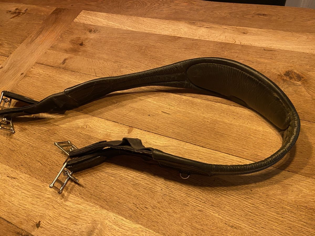 Selle & Accessori: Ikonic Sattelgurte 125cm – Usato da Waltalingen venduto da Rero 1