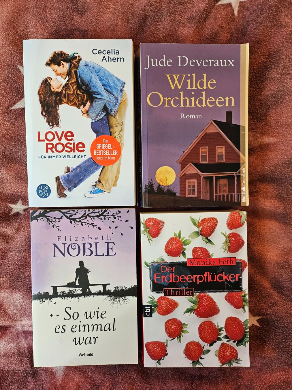 Libri: Bücherpaket: Divers 08 – Usato da Thun venduto da Shame
