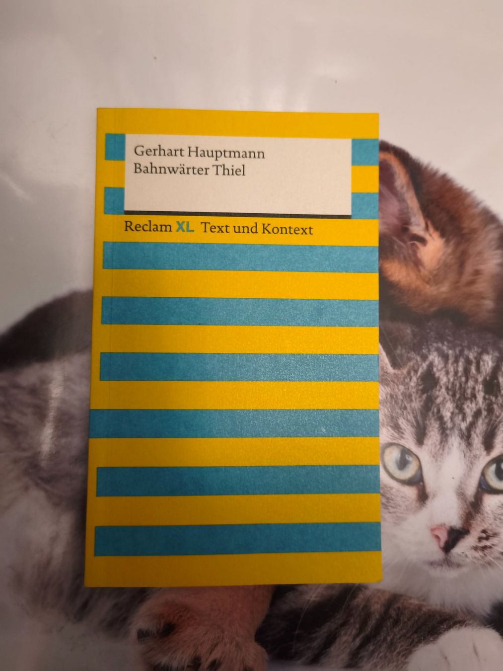 Libri: Bahnwärter Thiel von Gerhart Hauptmann – Nuovo (secondo la descrizione) da Starrkirch-Wil venduto da wae_xd2j