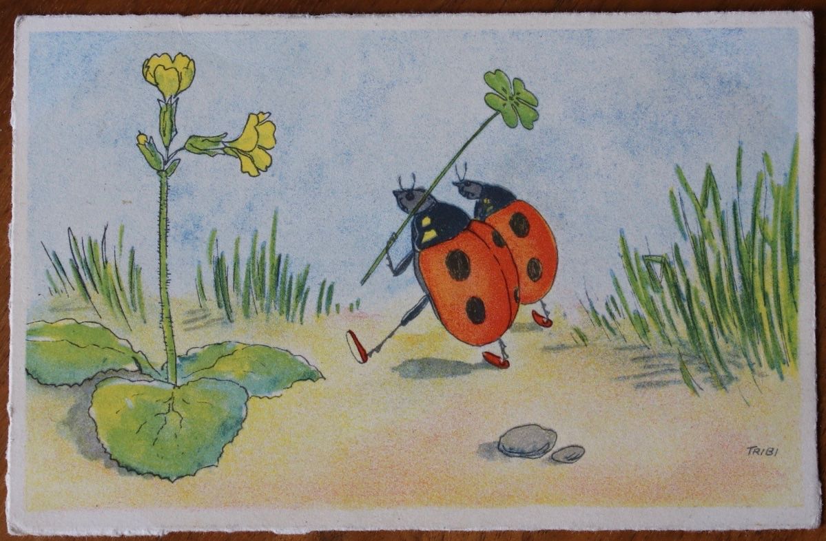 Cartoline postali: AK Marienkäferchen Glücksbringer – Usato da Uster venduto da Ken1ari