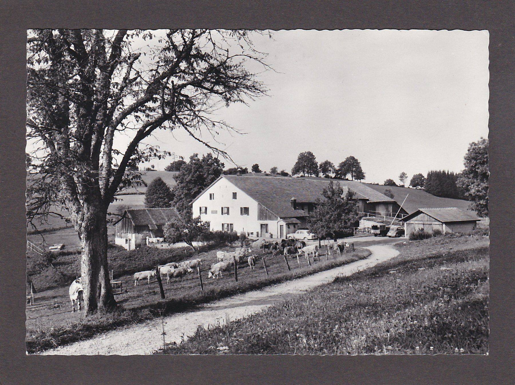 Cartoline postali: DEVELIER Restaurant Claude-Chappuis – Usato da Reiden venduto da cinfis