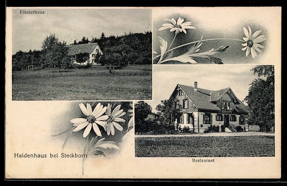 Ansichtskarten: Steckborn, Försterhaus, Restaurant Haid – Gebraucht aus Berlin von bartko-reher