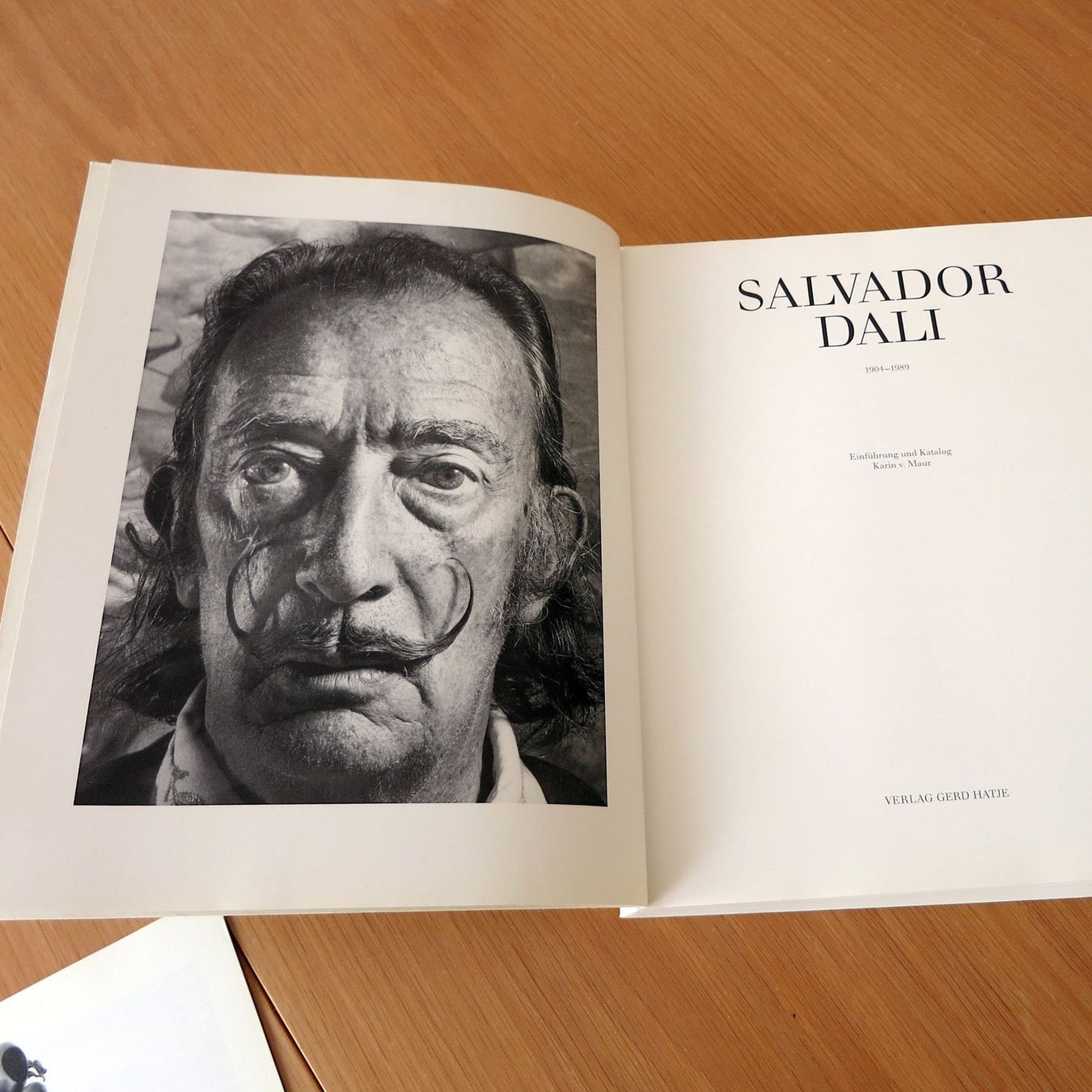 Libri: Salvador DALI, einer der grossen Maler. Dickes Buch – Usato da Steinhausen venduto da Kristall022 1