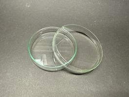 Petrischale aus Glas, Durchmesser 10 cm, NEU
