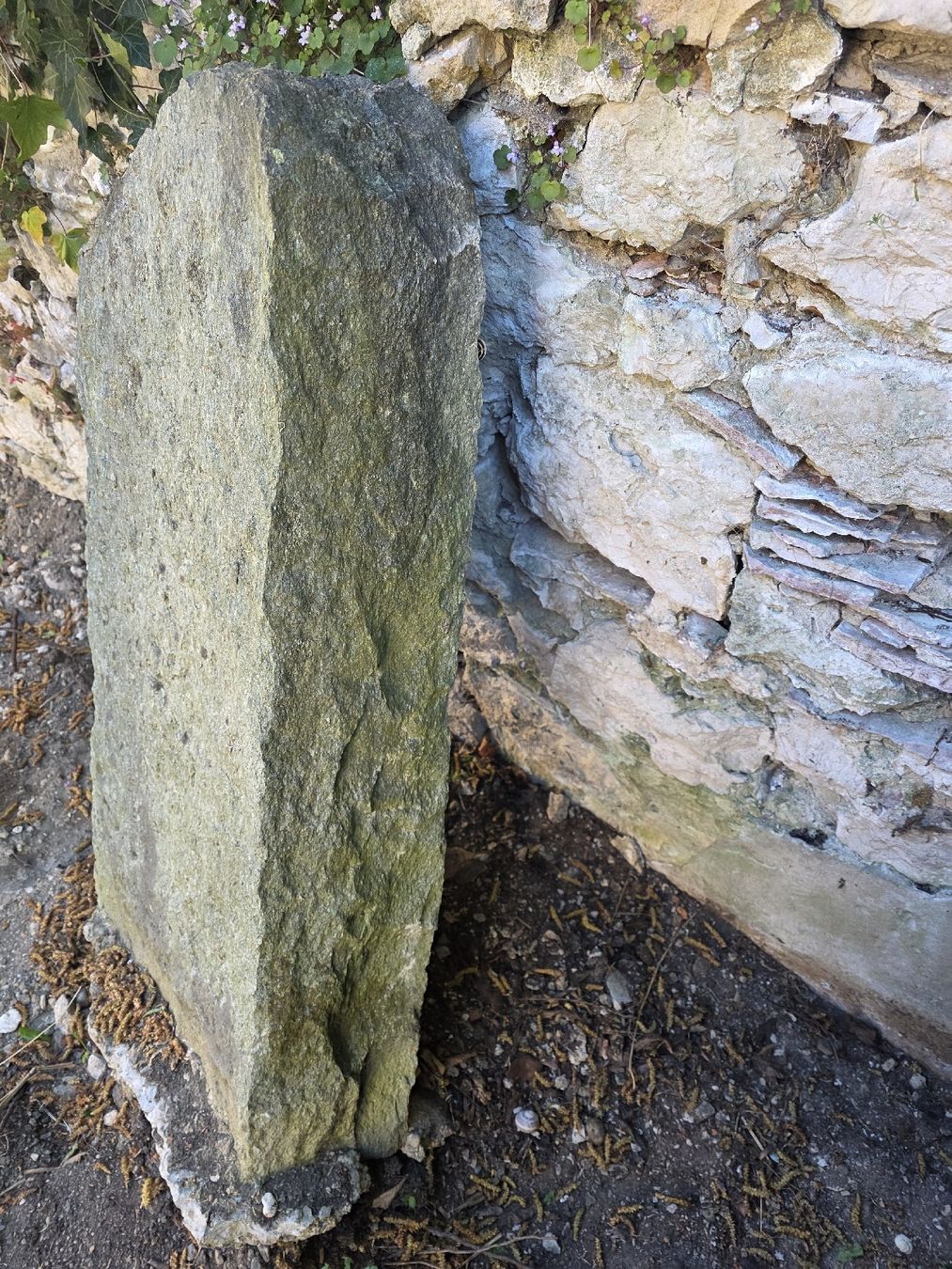 Pietre & tegole: Grabstein aus Granit – Usato da Twann venduto da flo_2v5r 1