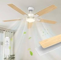 Ventilateur de plafond